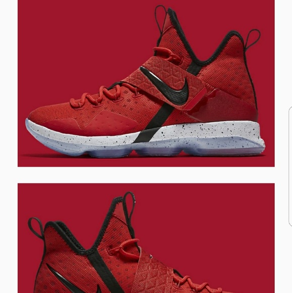 LeBron 14s - Picture 1 of 2